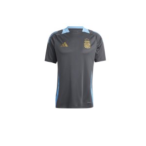 adidas-argentinien-trainingsshirt-copa-am-24-grau-iq0815-fan-shop_front.png