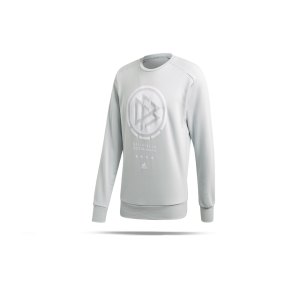 adidas-dfb-deutschland-ssp-sweatshirt-grau-replicas-sweatshirts-nationalteams-fl2769.png