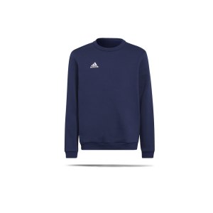 adidas-entrada-22-sweatshirt-kids-blau-h57568-teamsport_front.png