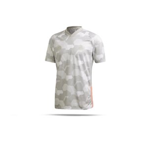adidas-tango-trainingsshirt-kurzarm-grau-fussball-textilien-t-shirts-fp7914.png
