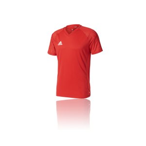 adidas-tiro-17-trainingsshirt-rot-fussball-teamsport-ausstattung-mannschaft-bp8557.png