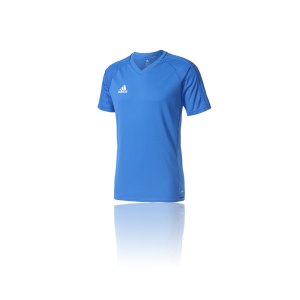 adidas-tiro-17-trainingsshirt-blau-fussball-teamsport-ausstattung-mannschaft-bq2796.png