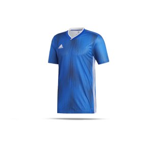 adidas-tiro-19-trikot-kurzarm-blau-weiss-fussball-teamsport-textil-trikots-dp3532.png
