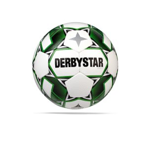 derbystar-apus-tt-v20-trainingsball-f140-1154-equipment_front.png