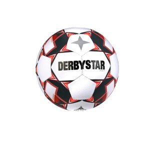 derbystar-apus-tt-v23-trainingsball-weiss-f130-1217-equipment_front.png