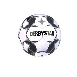 derbystar-apus-tt-v23-trainingsball-weiss-f120-1217-equipment_front.png