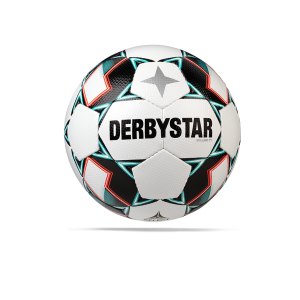 derbystar-brilliant-tt-v20-trainingsball-f142-1133-equipment_back.png