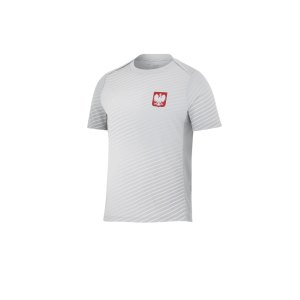 nike-polen-academy-pro-t-shirt-grau-weiss-f012-fq8625-fan-shop_front.png