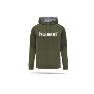 hummel-cotton-logo-hoody-grau-f6084-203511-fussballtextilien_front.png