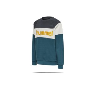 hummel-hmlclaes-sweatshirt-kids-blau-f7058-212445-teamsport_front.png