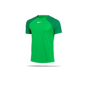 nike-academy-pro-t-shirt-gruen-weiss-f329-dh9225-teamsport_front.png