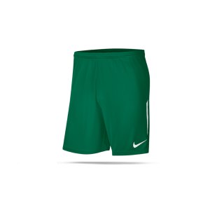 nike-dri-fit-shorts-gruen-weiss-f302-fussball-teamsport-textil-shorts-bv6852.png