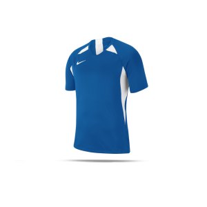 nike-striker-v-trikot-kurzarm-kids-blau-f463-fussball-teamsport-textil-trikots-aj1010.png