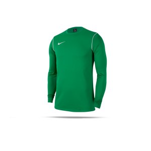 nike-dri-fit-park-crew-shirt-longsleeve-kids-f302-fussball-teamsport-textil-sweatshirts-bv6901.png