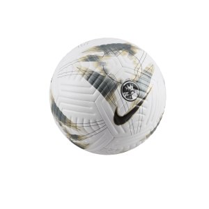 nike-premier-league-academy-trainingsball-f106-fb2985-equipment_front.png