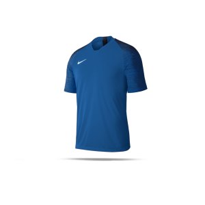nike-strike-dri-fit-t-shirt-kids-blau-f463-fussball-textilien-t-shirts-aj1027.png