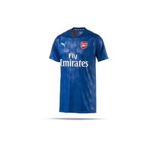 puma-arsenal-fc-stadium-t-shirt-blau-f02-lifestyle-streetwear-trend-alltag-casual-freizeit-752658.png
