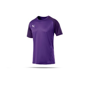 puma-cup-sideline-core-t-shirt-lila-f10-fussball-teamsport-textil-t-shirts-656051.png