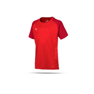 puma-cup-sideline-core-t-shirt-kids-rot-f01-fussball-teamsport-textil-t-shirts-656052.png