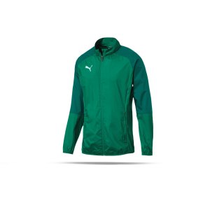 puma-cup-sideline-core-woven-jacket-gruen-f05-fussball-teamsport-textil-jacken-656045.png