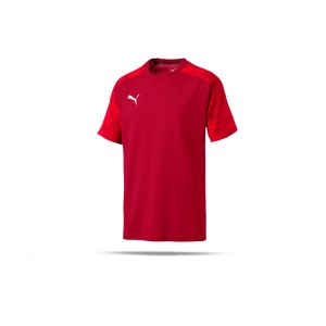 puma-cup-sideline-t-shirt-rot-f01-fussball-teamsport-textil-t-shirts-656049.png