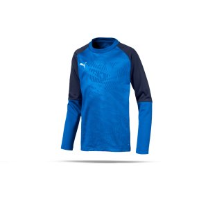 puma-cup-training-core-sweatshirt-kids-blau-f02-fussball-teamsport-textil-sweatshirts-656022.png