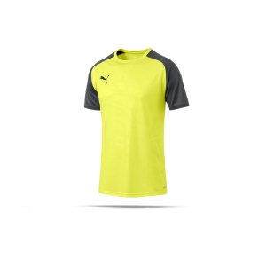 puma-cup-training-core-t-shirt-gelb-f16-fussball-teamsport-textil-t-shirts-656027.png