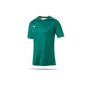 puma-cup-training-t-shirt-gruen-f05-fussball-teamsport-textil-t-shirts-656023.png