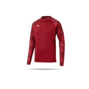 puma-football-next-1-4-zip-top-sweatshirt-f02-fussball-textilien-sweatshirts-655582.png