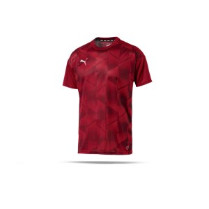 puma-football-next-graphic-tee-t-shirt-rot-f02-fussball-textilien-t-shirts-655757.png