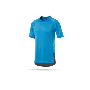 puma-ftblnxt-pro-t-shirt-blau-rot-f02-fussball-textilien-t-shirts-656108.png