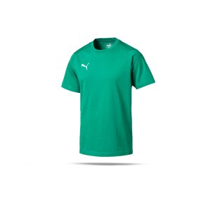 puma-liga-casuals-tee-t-shirt-f05-fussball-spieler-teamsport-mannschaft-verein-655311.png