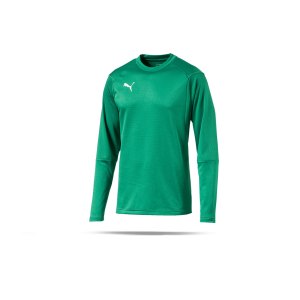 puma-liga-training-sweatshirt-gruen-f05-teampsort-mannschaft-ausruestung-655669.png