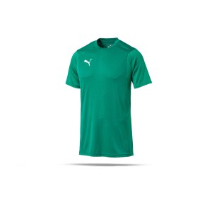 puma-liga-training-t-shirt-gruen-f05-shirt-team-mannschaftssport-ballsportart-training-workout-655308.png