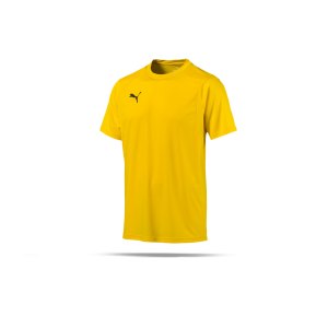 puma-liga-training-t-shirt-gelb-f07-shirt-team-mannschaftssport-ballsportart-training-workout-655308.png