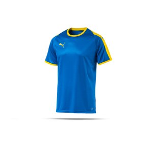 puma-liga-trikot-kurzarm-blau-gelb-f16-funktionskleidung-vereinsausstattung-team-ausruestung-mannschaftssport-ballsportart-703417.png