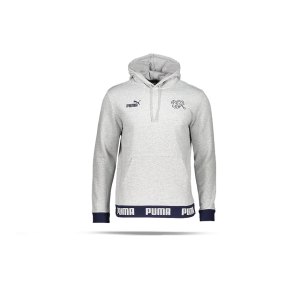 puma-schweiz-ftblculture-hoody-grau-f14-replicas-sweatshirts-nationalteams-757356.png