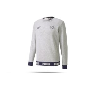 puma-schweiz-swetashirt-grau-f14-replicas-t-shirts-nationalteams-757355.png