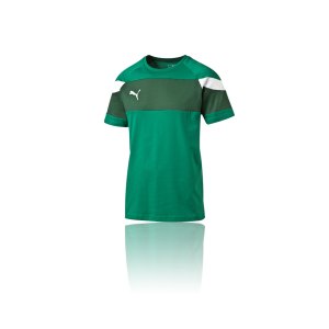 puma-spirit-2-leisure-t-shirt-kurzarmshirt-teamsport-men-herren-gruen-weiss-f05-654659.png