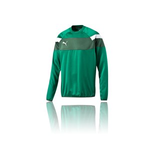 puma-spirit-2-training-sweatshirt-teamsport-vereine-mannschaft-men-herren-gruen-f05-654656.png
