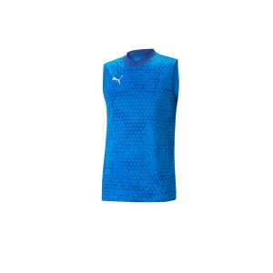 puma-teamcup-trainingssweatshirt-blau-f02-657985-teamsport_front.png