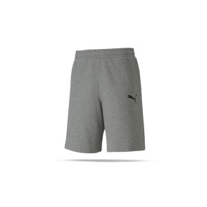 puma-teamgoal-23-casuals-shorts-grau-f33-fussball-teamsport-textil-shorts-656581.png