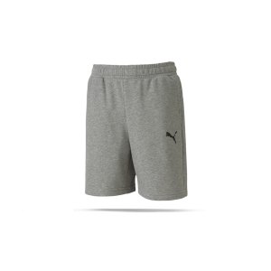 puma-teamgoal-23-casuals-shorts-kids-grau-f33-fussball-teamsport-textil-shorts-656712.png