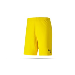 puma-teamgoal-23-knit-short-gelb-f07-fussball-teamsport-textil-shorts-704262.png