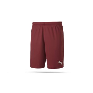 puma-teamgoal-23-knit-short-rot-f09-fussball-teamsport-textil-shorts-704262.png