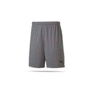 puma-teamgoal-23-knit-short-grau-f13-fussball-teamsport-textil-shorts-704262.png