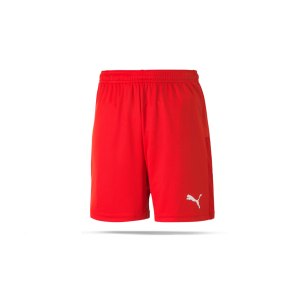 puma-teamgoal-23-knit-short-kids-rot-f01-fussball-teamsport-textil-shorts-704263.png