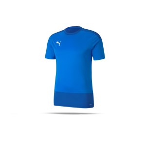 puma-teamgoal-23-training-trikot-blau-f02-fussball-teamsport-textil-trikots-656482.png