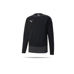 puma-teamgoal-23-training-sweatshirt-schwarz-f03-fussball-teamsport-textil-sweatshirts-656478.png