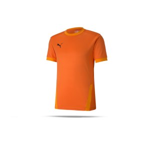 puma-teamgoal-23-trikot-kurzarm-orange-f08-fussball-teamsport-textil-trikots-704171.png